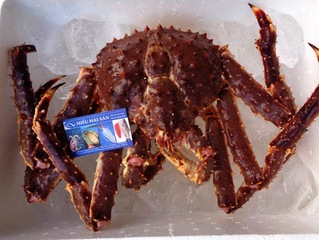 cua-hoang-de-alaska-song-king-crab-alaska