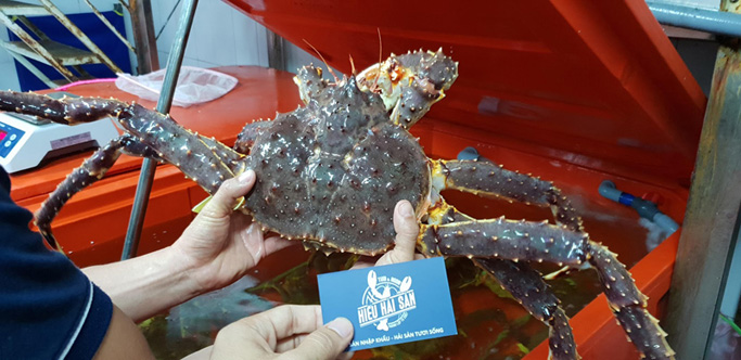 cua king crab sống tại Hiếu Hải Sản