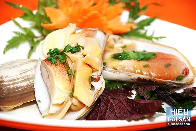 tu hài canada - món hải sản dinh dưỡng